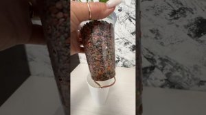 Спатифиллум в минеральном грунте на фитильном поливе