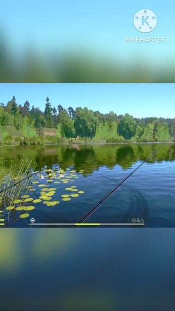 RF4 #rf4 #рр4 #gaming #gameplay #игра #рыбалка #russianfishing4 #shorts #shortvideo #s