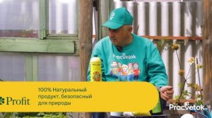 САМАЯ ВАЖНАЯ ПОДКОРМКА ТОМАТОВ И ПЕРЦЕВ ВО ВРЕМЯ ЦВЕТЕНИЯ для увеличения урожая!