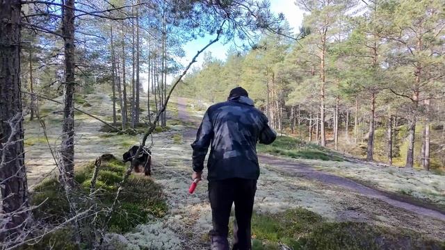 Самый маленький дрон DJI весом 135 г