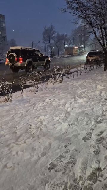 Сильный снег 25 марта Владивосток смотреть онлайн