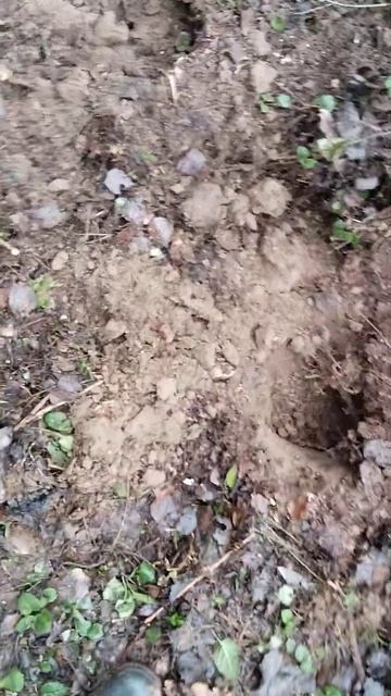 16 января 2025 г. смотреть онлайн