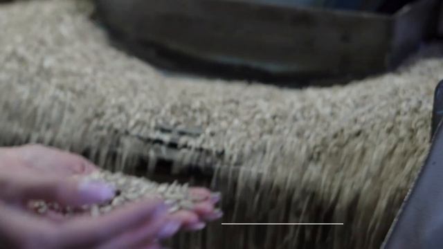 Алтайское солнышко смотреть онлайн