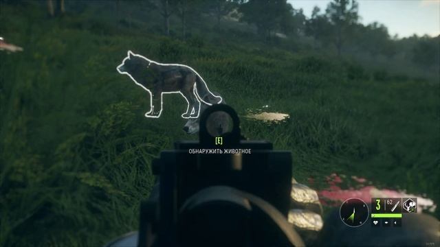 ♢ theHunter CoTW ♢ Испанский стыд ♢ Этой игре не нужны читы ? смотреть онлайн