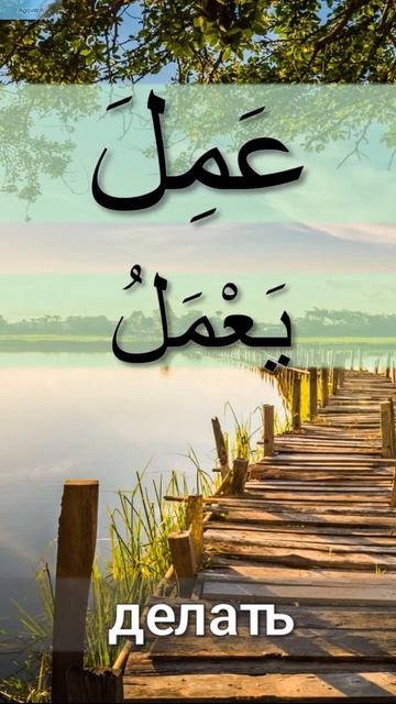 Самые частотные глаголы арабского языка. Часть 6. #араб смотреть онлайн