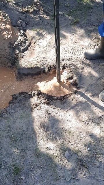 Абиссинская скважина в Ленинградской области 8 931 967 17 0