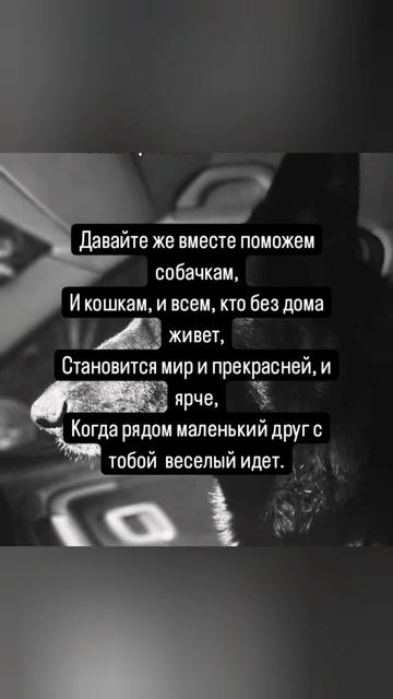 Им очень нужна наша помощь!!! Пожалуйста 🙏#приют#собак смотреть онлайн