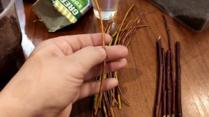 Укоренение ивы плакучей и вербы. В воде и земле.