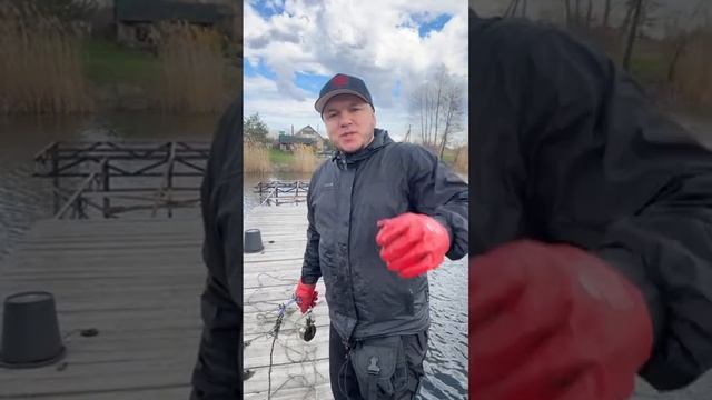 Кидаем поисковый магнит 🧲 смотреть онлайн