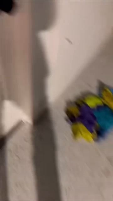 есть цели,есть планы смотреть онлайн