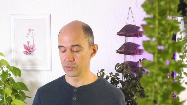 Самые полезные и бесполезные инструменты для ухода за смотреть онлайн