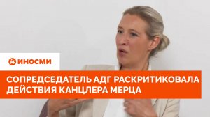 «Это безумие». Сопредседатель АдГ раскритиковала действия канцлера Мерца
