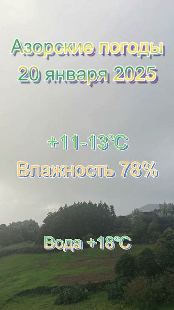 Азорские погоды 20 января 2025 смотреть онлайн
