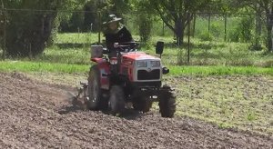 Внук на МТ 180, первое окучивание.