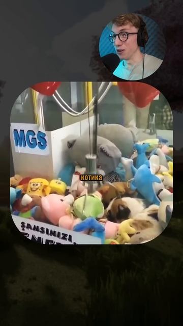 ВИРУСНЫЕ ВИДЕО / Кот напал на хозяина? смотреть онлайн