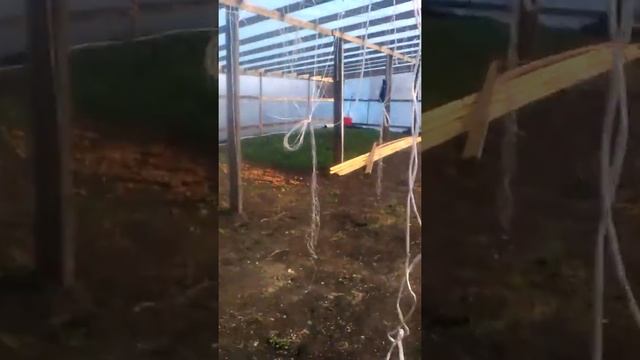 Теплица своими руками смотреть онлайн