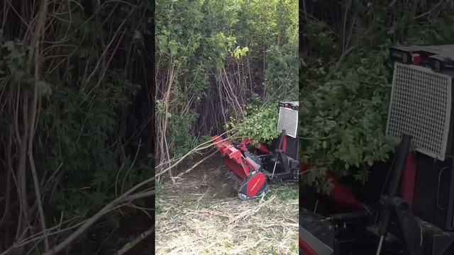 Чистим на СГМ ПРО 330 сильно залесенный участок для ст? смотреть онлайн