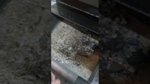 Автоматический котел длительного горения СлавКотёл с