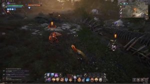 Гайд на Лучшего ТАНКА в Throne and Liberty!