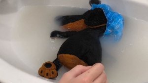 🫧банные процедуры собачки🐶 Ваксона! 🫧