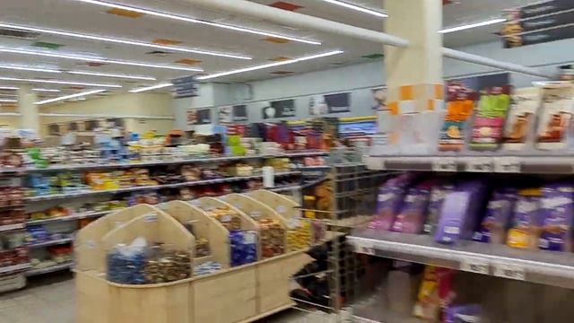 0063 20241017 По дороге в Японию  Алтай, Кош Агач  Местный маг