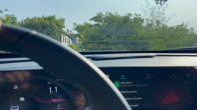 Дальняя поездка с собакой, как облегчить дорогу