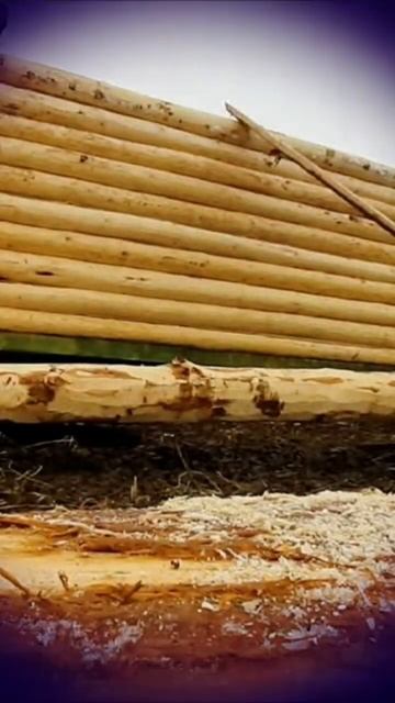 #домизбревна #срубдома #строительство #строительствод смотреть онлайн