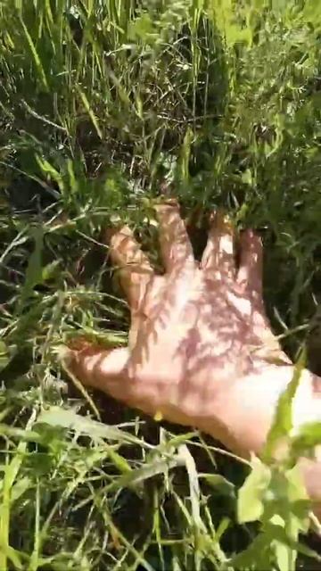 Металлоискатель 2022! Артефакт на поверхности! смотреть онлайн