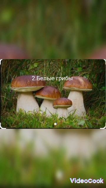 3 продукта которые помогут набрать мышечную массу (3 ча смотреть онлайн