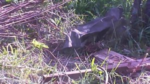 Ну вот и ещё грядка получается