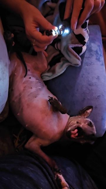 Секрет процедуры, которой она боялась всегда смотреть онлайн