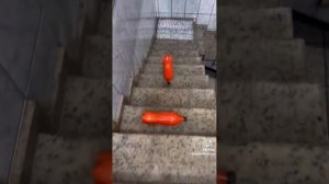 Видео с бутылками , лестница и бутылки , супер тренд #brak