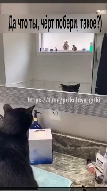 Да что ты, чёрт побери, такое?)