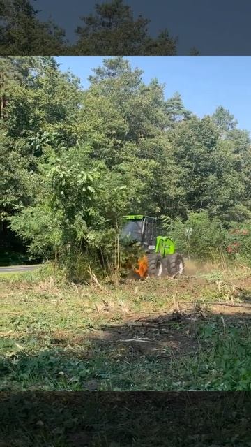 Мульчирование Merlo TreEmme MM250X с навеской FAE U 200 смотреть онлайн