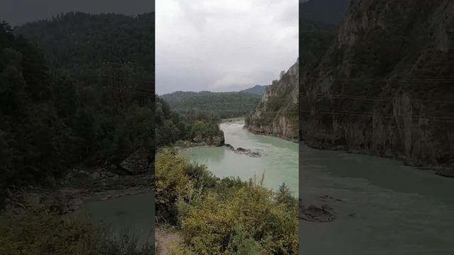 Горный Алтай. Красота Алтая. Чемал.