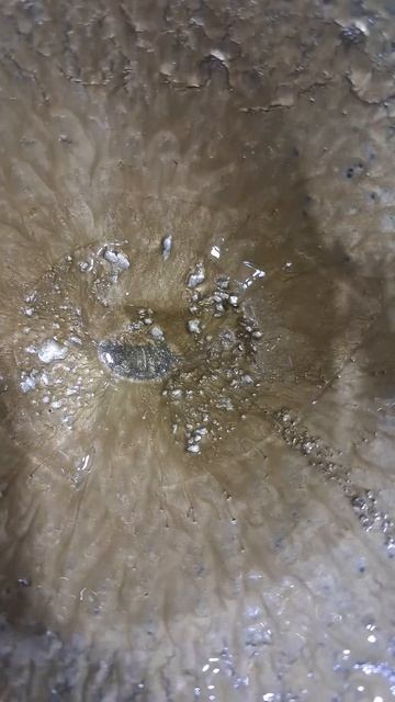 Обов'язковий момент перед фарбуванням #сварка #сварщи? смотреть онлайн