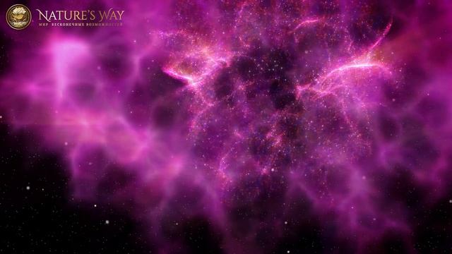 Медитация «Запуск» :: Клеточное Омоложение :: Санатори?