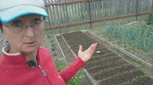 Видео привет с 6 соток 3 июня 2025 года.