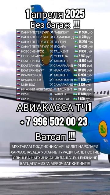 Нархи билетлар 1 апреля #авиакасса #aviakassa_tj1 #самарканд # смотреть онлайн