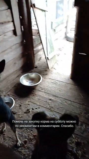 Несмотря на то, что хочется есть, больше всего они доро смотреть онлайн