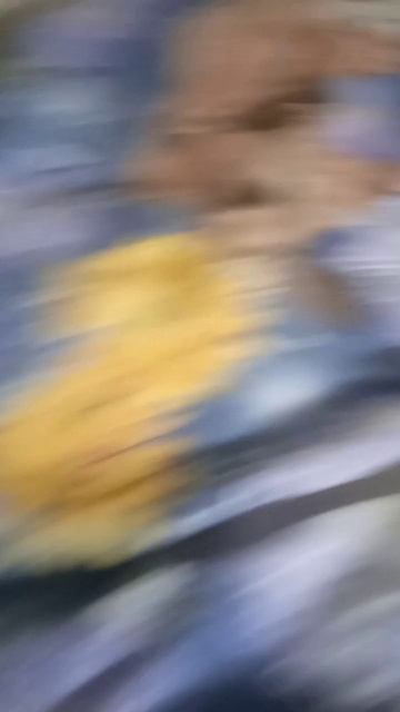 это собака не даёт ни каму спать 😂😂😂😂😂😂 смотреть онлайн