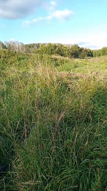 что можно найти после мд 40-30