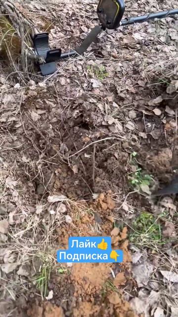 МЕТАЛЛОИСКАТЕЛЬ. НАШЁЛ МЕТАЛЛ. #shots #металлоискатель #м смотреть онлайн