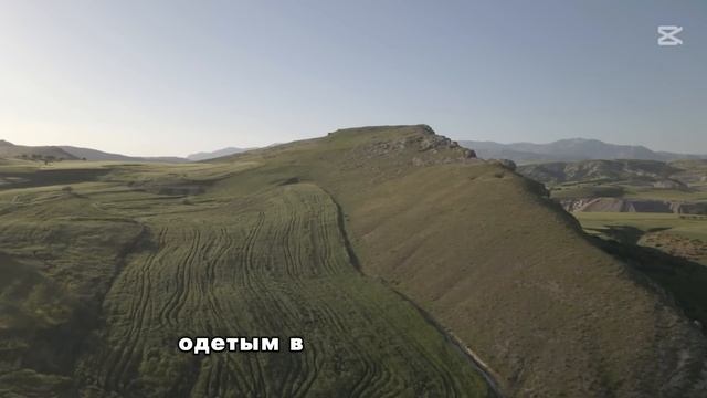 Её дочь исчезла в туалете торгового центра, а через 4 г? смотреть онлайн