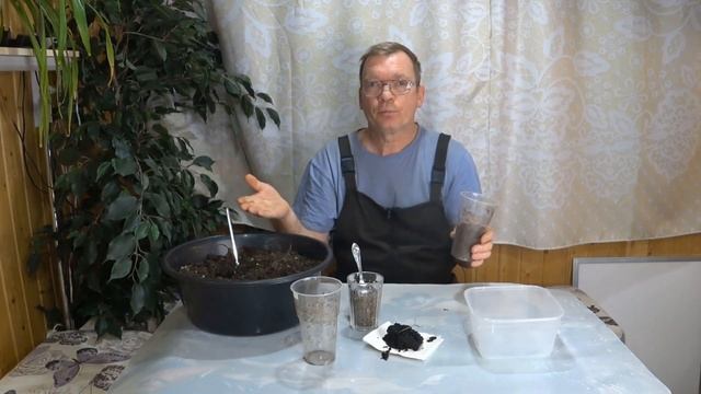 1 чайная ложка этого средства для рассады заменит все ? смотреть онлайн
