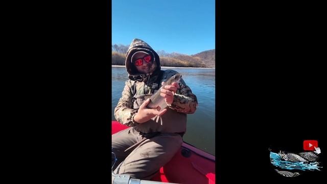 Крупный Хариус, Ленок, Щука, Таймень💪😎В этой речке е?