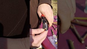 Порівняння секаторів Okatsune 103/ Tenju 200