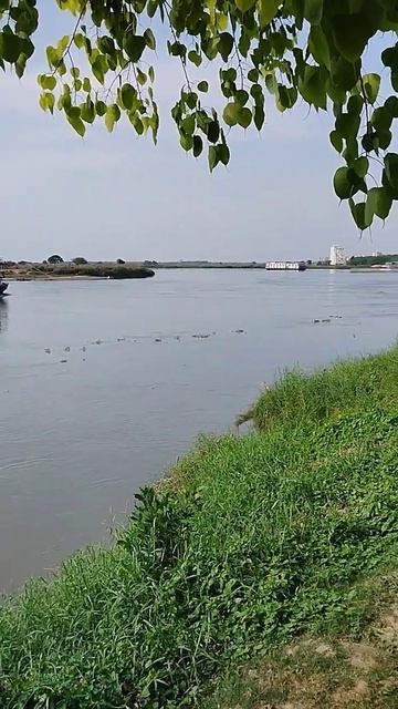 Завтра Гаура пурнима смотреть онлайн