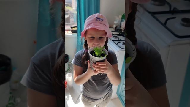 Делаю клумбы и грядки с нуля. Часть 2. #частныйдом #садо? смотреть онлайн