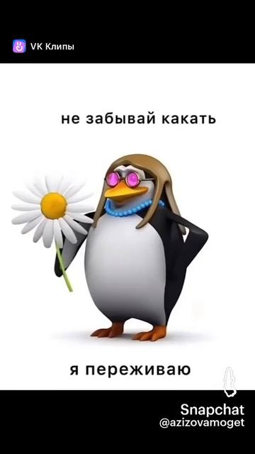 XD смотреть онлайн